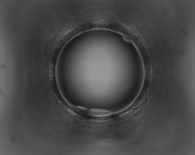 X0000090961301200708021407