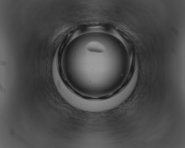 X0000090961302200708021407