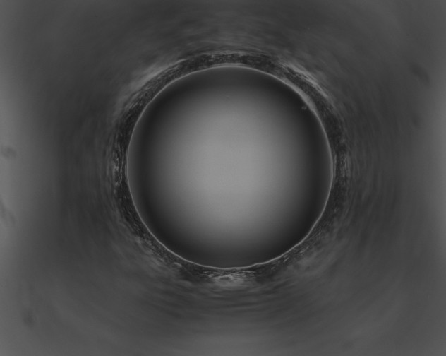 X0000090961303200708021407