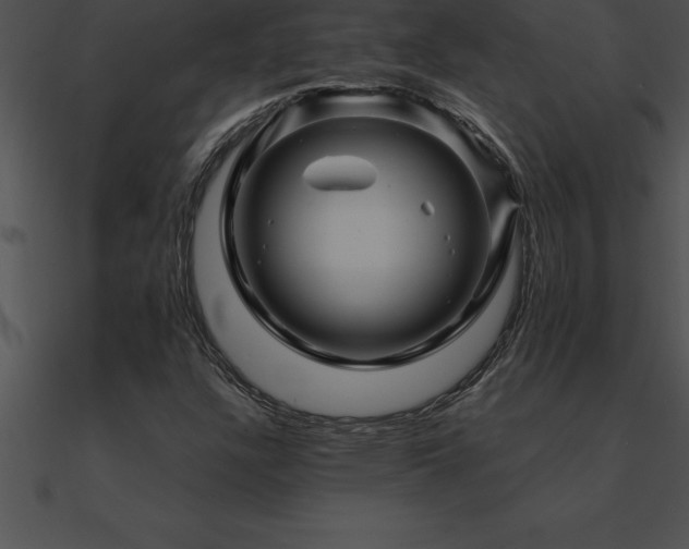 X0000090961304200708021407