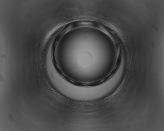 X0000090961310200708021407