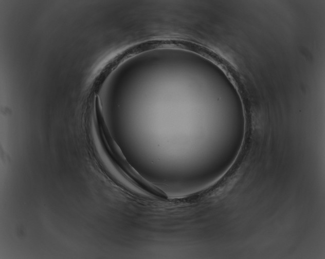 X0000090961311200708021407