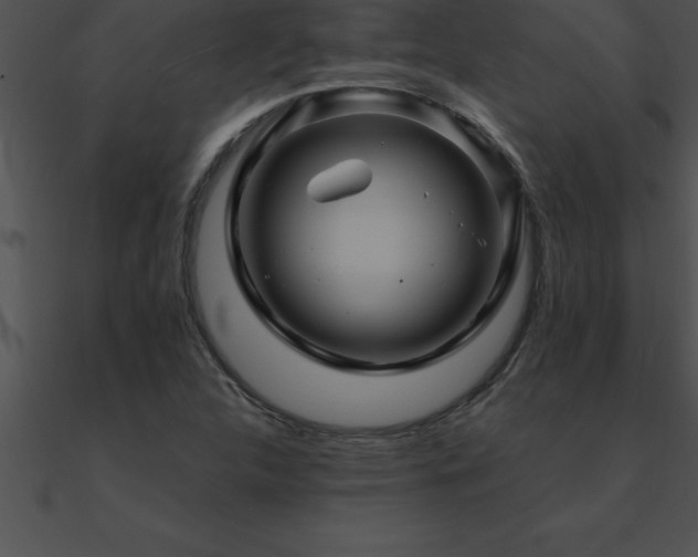 X0000090961312200708021407