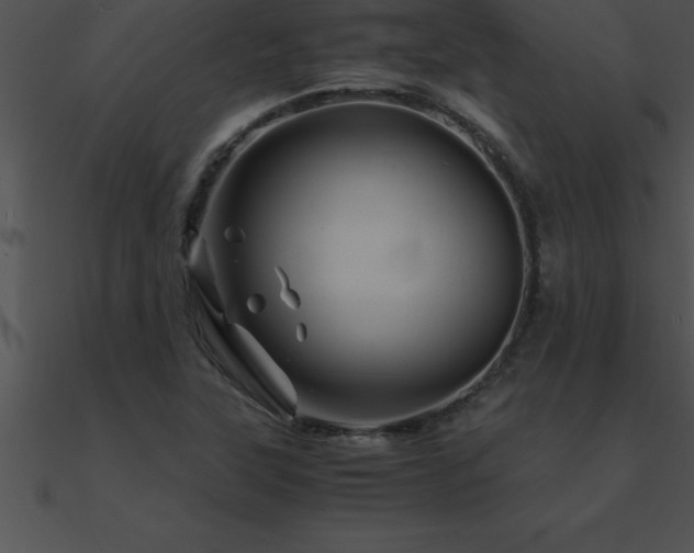 X0000090961315200708021407