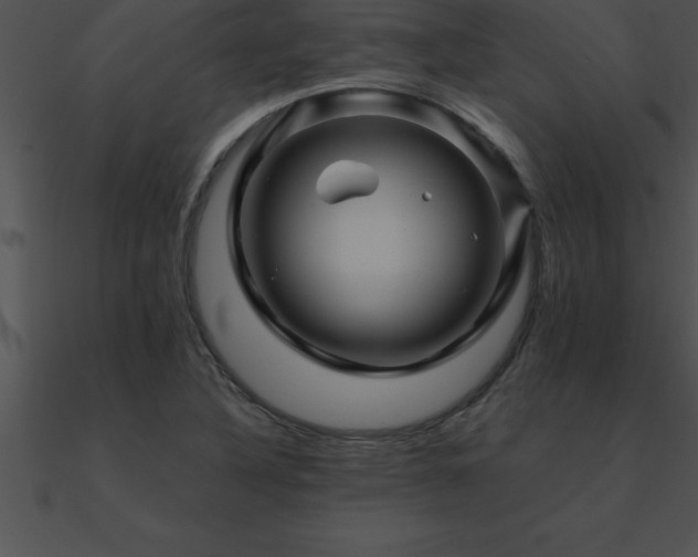 X0000090961316200708021407