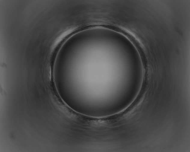 X0000090961317200708021407