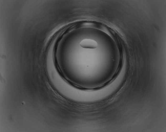 X0000090961318200708021407