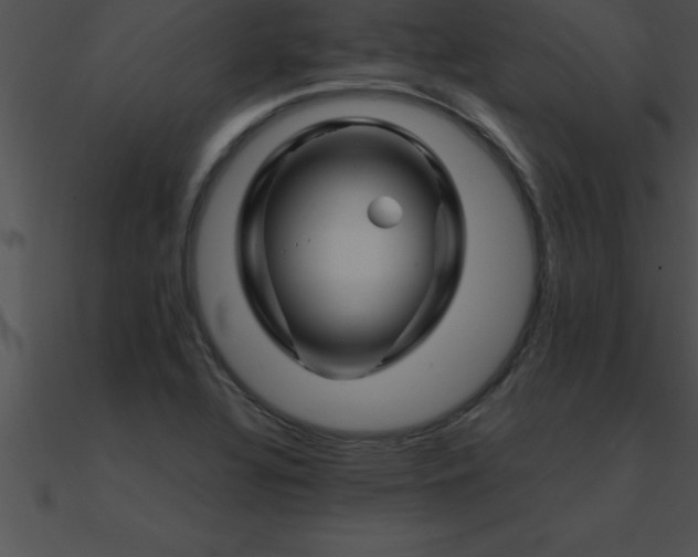 X0000090961320200708021407