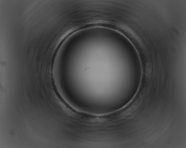 X0000090961321200708021407