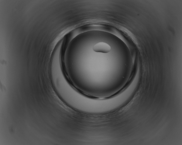 X0000090961322200708021407