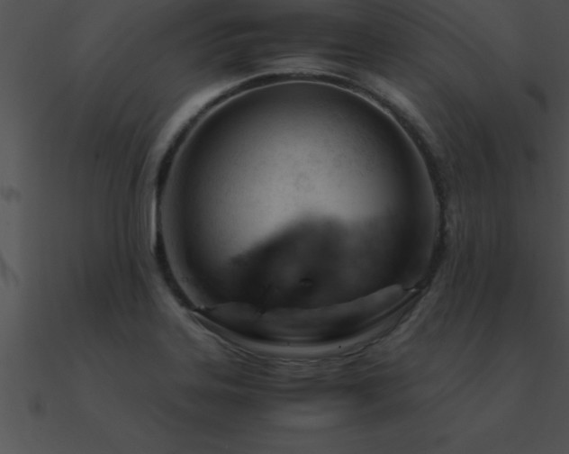 X0000090961323200708021407