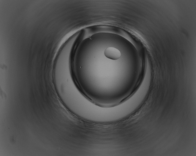 X0000090961324200708021407