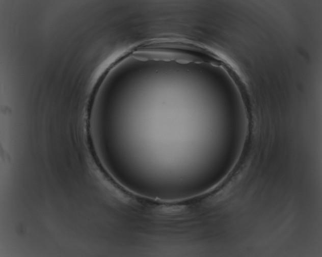 X0000090961325200708021407