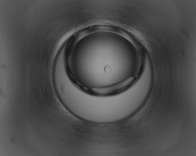 X0000090961326200708021407