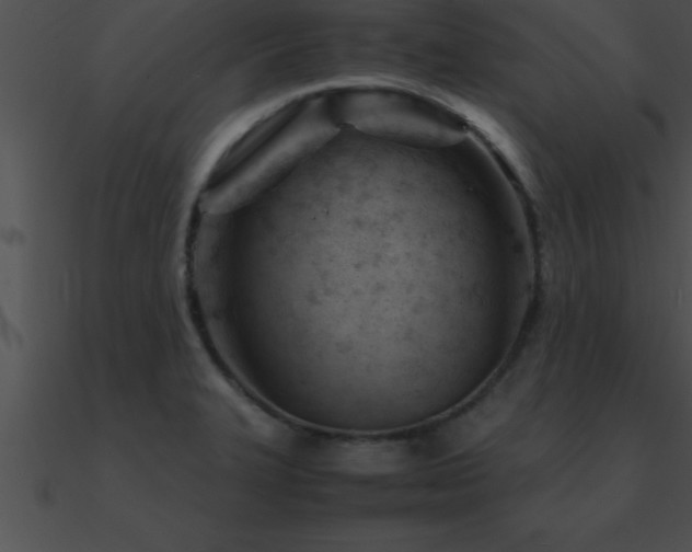 X0000090961327200708021407