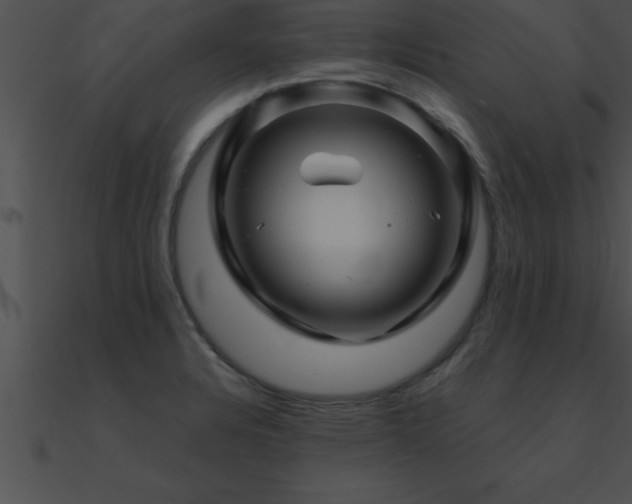 X0000090961328200708021407
