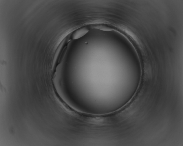 X0000090961329200708021407