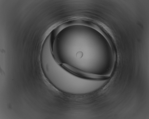 X0000090961330200708021407