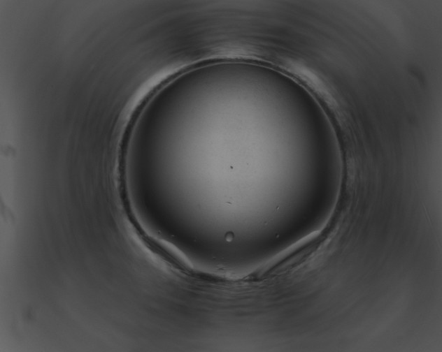 X0000090961331200708021407