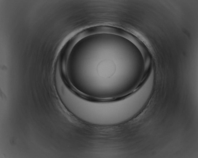 X0000090961332200708021407