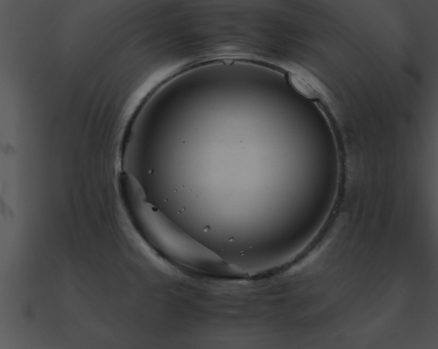 X0000090961333200708021407