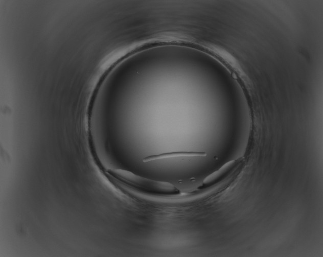 X0000090961335200708021407