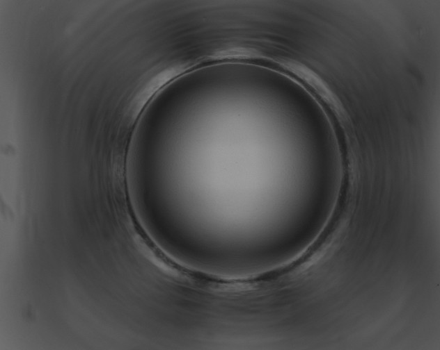 X0000090961337200708021407