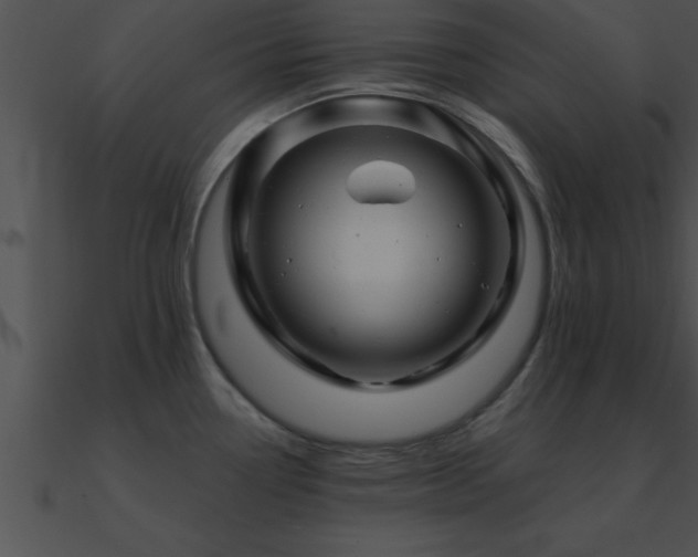 X0000090961338200708021407