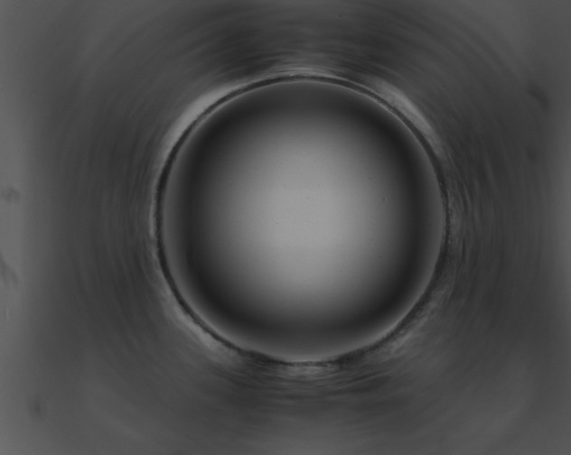 X0000090961339200708021407