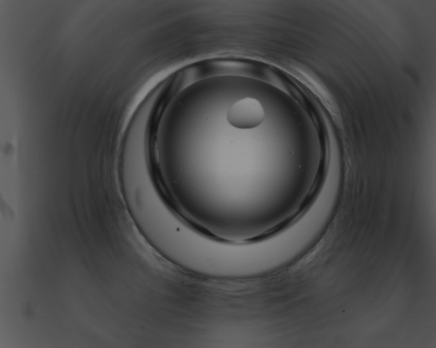 X0000090961340200708021408