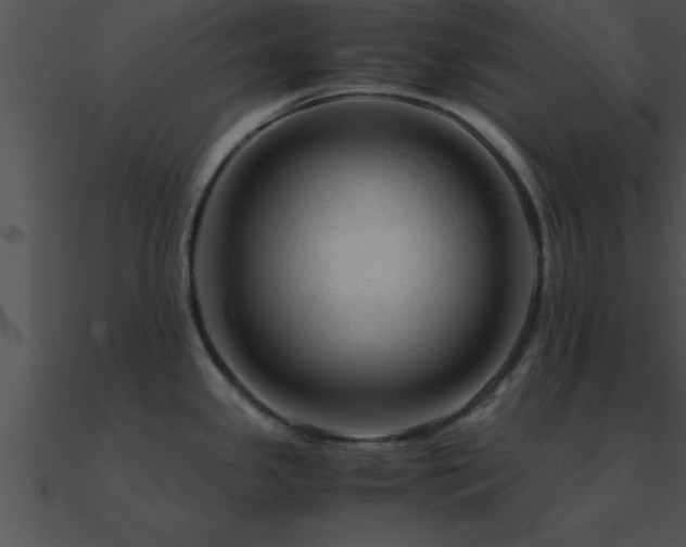 X0000090961341200708021408