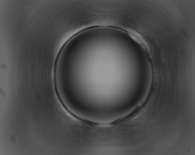 X0000090961343200708021408