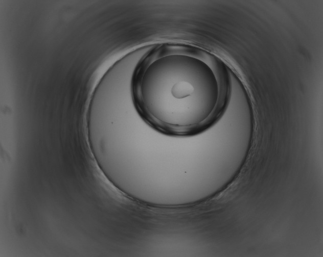 X0000090961344200708021408