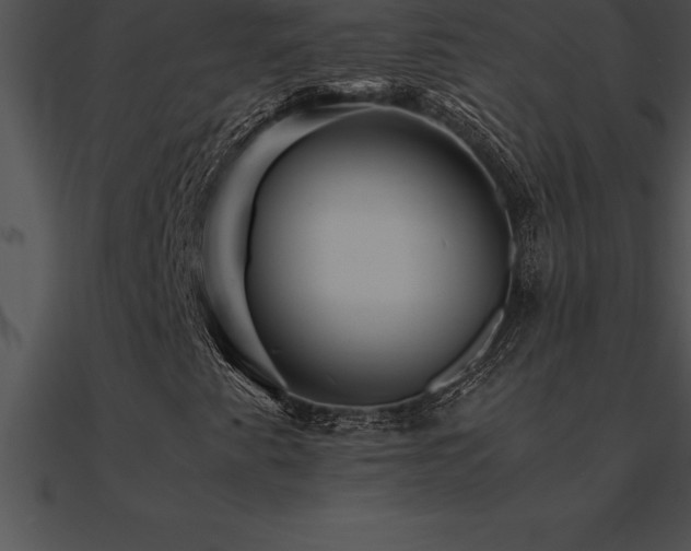 X0000090961345200708021407