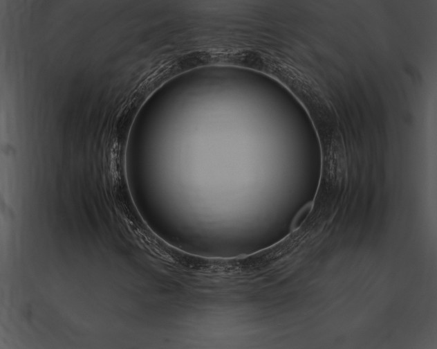 X0000090961346200708021407