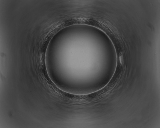 X0000090961347200708021407