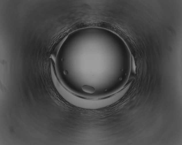X0000090961348200708021407