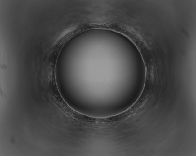 X0000090961350200708021407