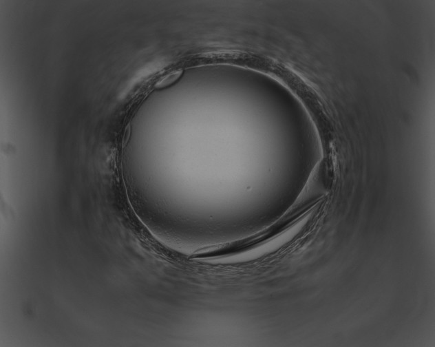 X0000090961351200708021407