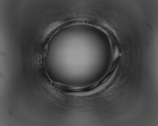 X0000090961352200708021407