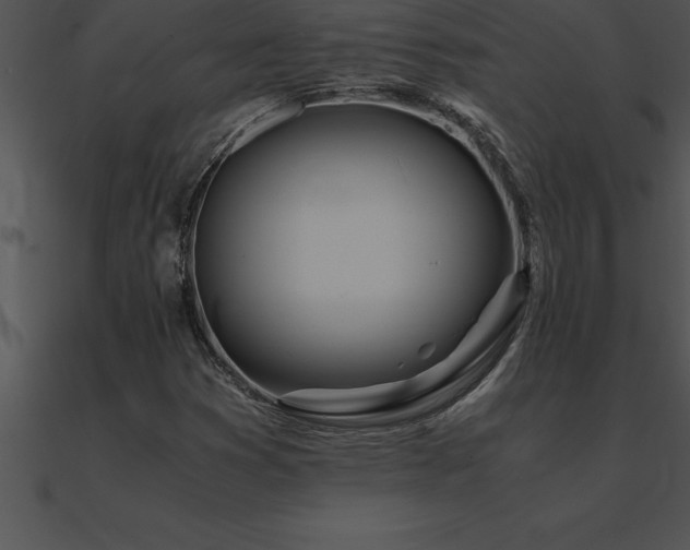 X0000090961353200708021407