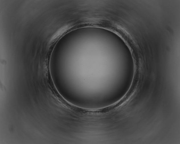 X0000090961354200708021407