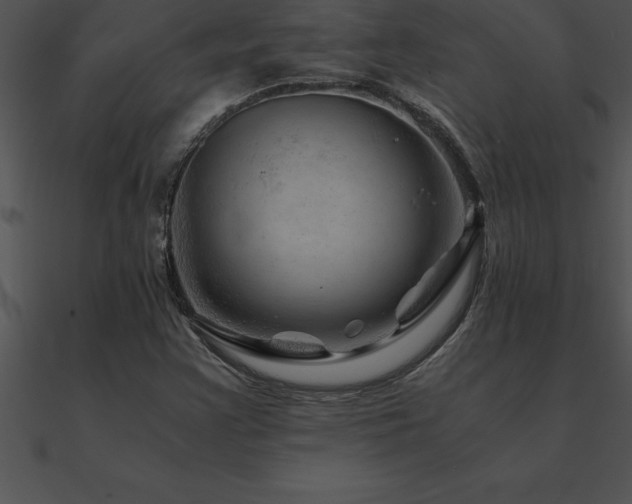 X0000090961355200708021407