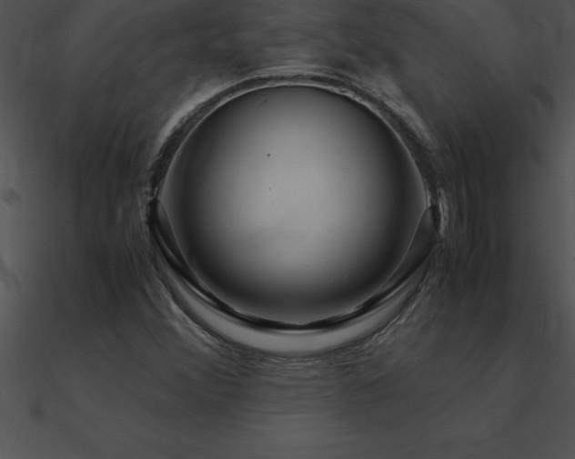 X0000090961356200708021407