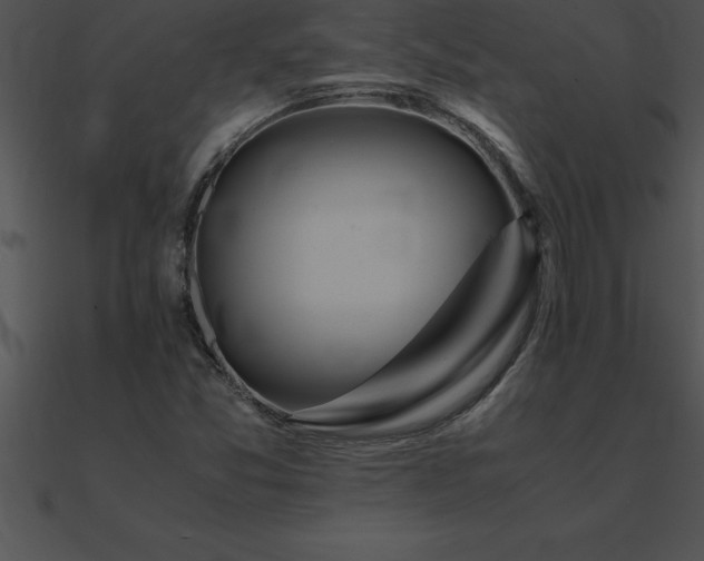 X0000090961357200708021407