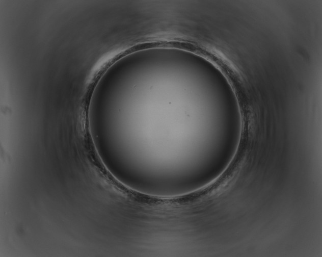 X0000090961358200708021407
