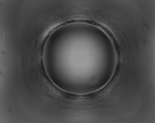 X0000090961359200708021407
