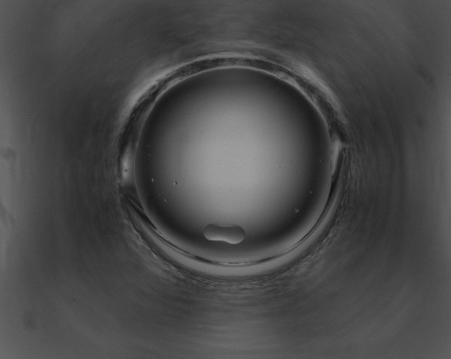 X0000090961360200708021407