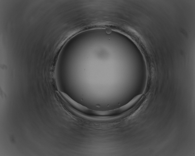X0000090961361200708021407
