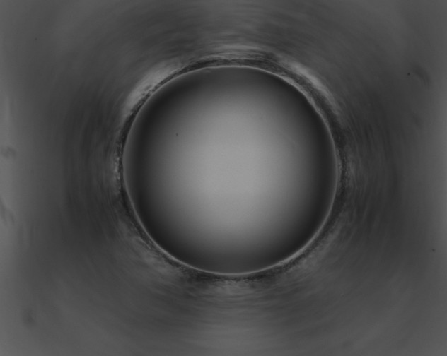 X0000090961362200708021407